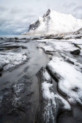 Picture of ARCTIC BEACH I