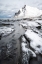 Picture of ARCTIC BEACH I