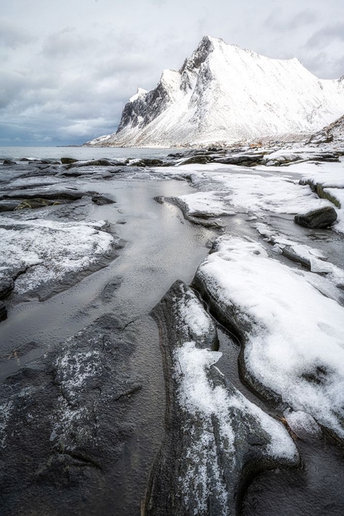 Picture of ARCTIC BEACH I