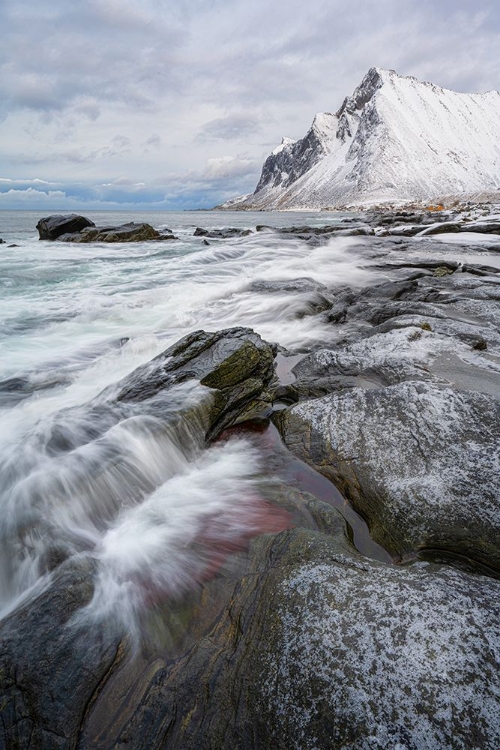 Picture of ARCTIC BEACH II