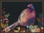 Picture of AUTUMN PHEASANT II