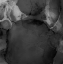 Picture of BLACK SAPPHIRE-AL9