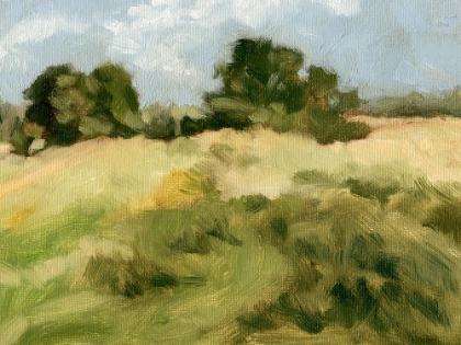 Picture of BREEZY MEADOW I