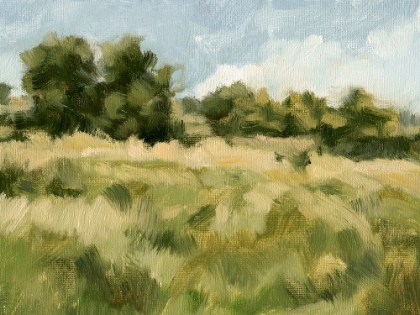 Picture of BREEZY MEADOW II