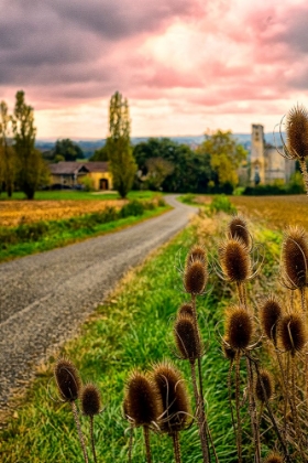 Picture of CHATEAU TAUZIA THISTLES