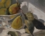 Picture of DELIGHTFUL PEARS I