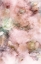 Picture of ENGLISH GARDEN-1R3