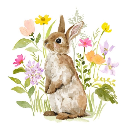 Picture of FLOWER PATCH BUNNY I