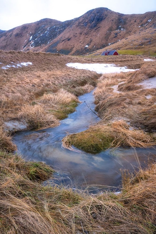 Picture of FLOWING GRASSES