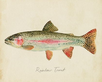 Picture of FRESHWATER FISH STUDY II