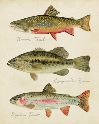 Picture of FRESHWATER FISH STUDY IV