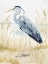 Picture of HERON ON THE COAST II