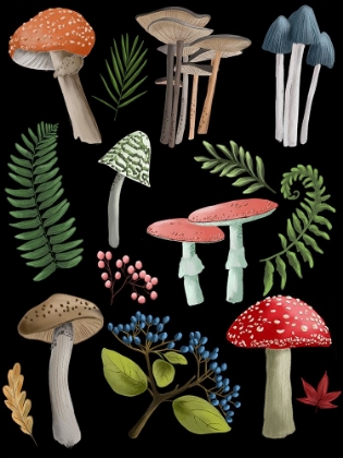 Picture of NATURAL MUSHROOM BEAUTIES I