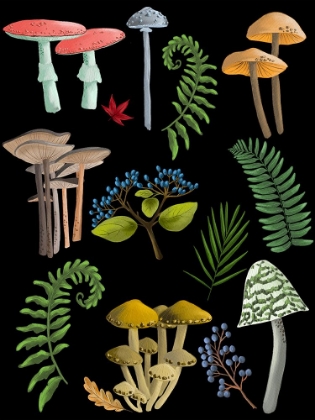 Picture of NATURAL MUSHROOM BEAUTIES II