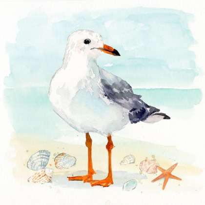 Picture of SANDY THE SEAGULL I