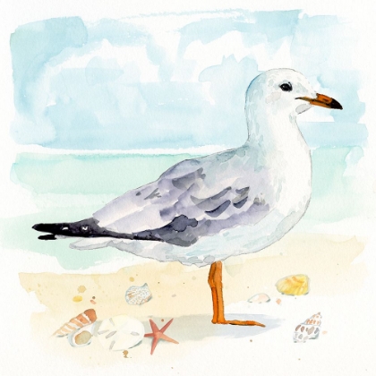 Picture of SANDY THE SEAGULL II