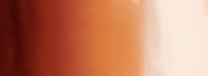 Picture of SERENGETI-R