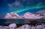 Picture of THE NORTHERN LIGHTS I