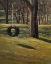 Picture of TREE TIRE SWING