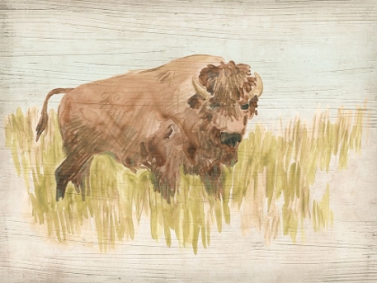 Picture of VINTAGE BISON I