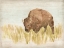 Picture of VINTAGE BISON II