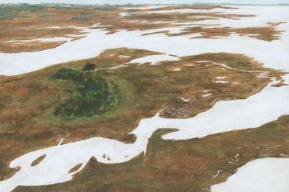 Picture of AERIAL MARSHLAND I