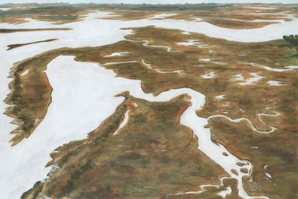 Picture of AERIAL MARSHLAND II