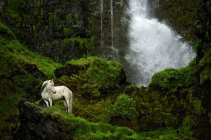 Picture of BY THE FALLS