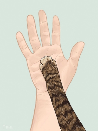Picture of CAT MOM II