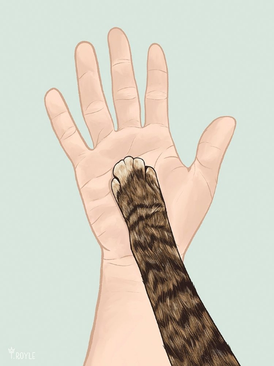 Picture of CAT MOM II