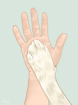 Picture of CAT MOM IV
