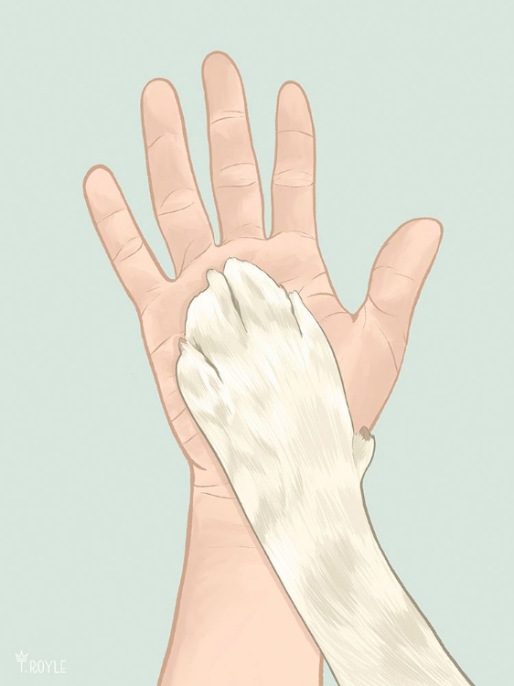 Picture of CAT MOM IV