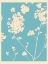 Picture of CYAN WILDFLOWER SILHOUETTES I
