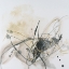 Picture of EARTH TANGLE I