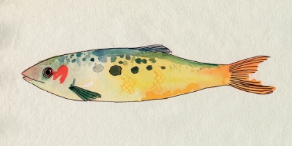 Picture of FANCIFUL FISH I