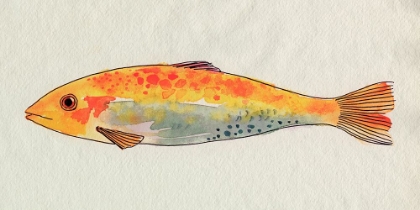 Picture of FANCIFUL FISH II