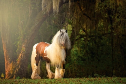 Picture of FLOWING MANE II