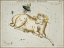 Picture of HALLS ASTRONOMICAL ILLUSTRATIONS I