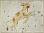 Picture of HALLS ASTRONOMICAL ILLUSTRATIONS XI