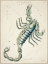 Picture of HALLS ASTRONOMICAL ILLUSTRATIONS XIII