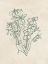 Picture of JARDIN LINEA I