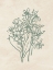 Picture of JARDIN LINEA II