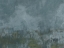 Picture of NIGHT MIST II