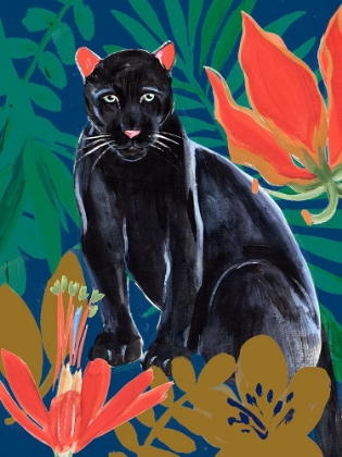Picture of NIGHT PANTHER II