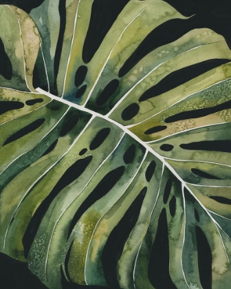 Picture of NOCTURNAL MONSTERA I
