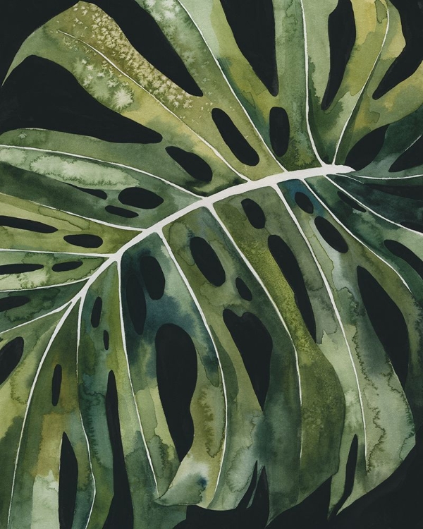 Picture of NOCTURNAL MONSTERA II