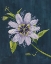 Picture of PASSION PETALS II