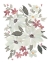 Picture of SAGE FLOWERS II