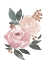 Picture of SOFT ROSES I