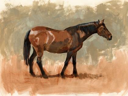 Picture of STANDING HORSE STUDY I
